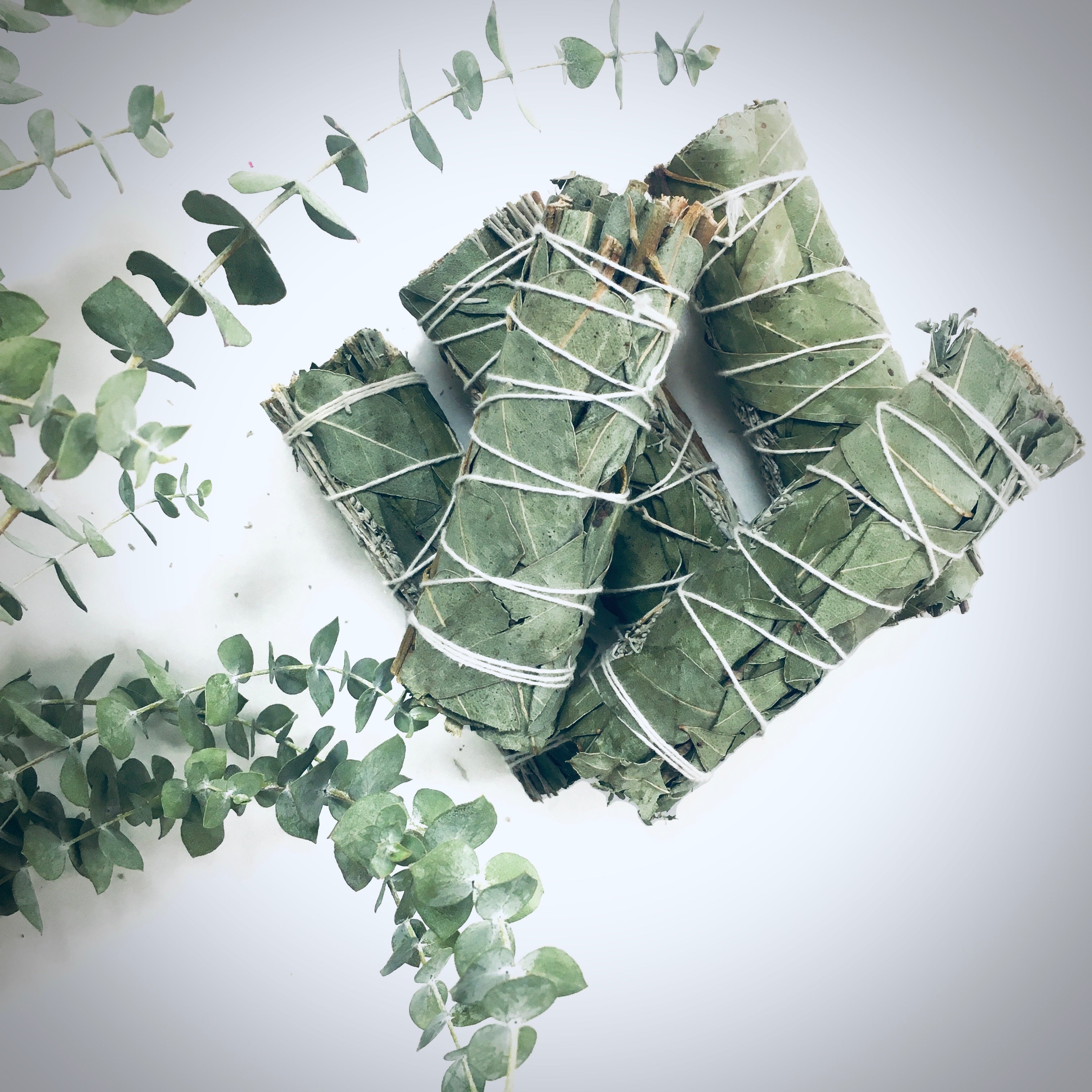 Blue Sage Eucalyptus Smudge Stick