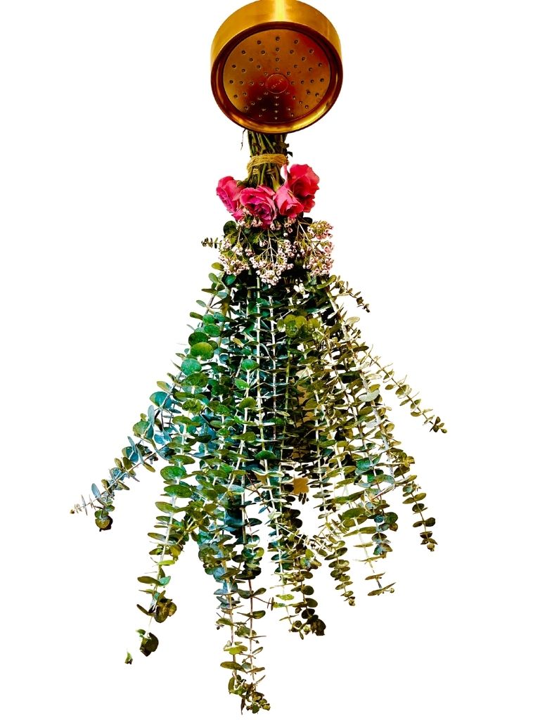 Eucalyptus Shower Bundle