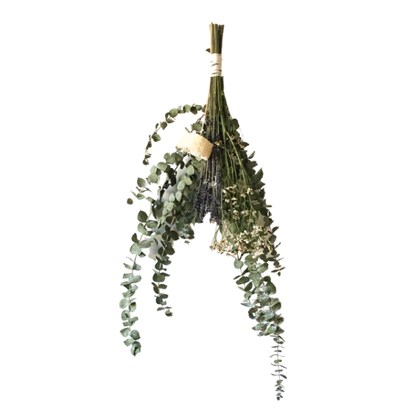 Eucalyptus in shower
