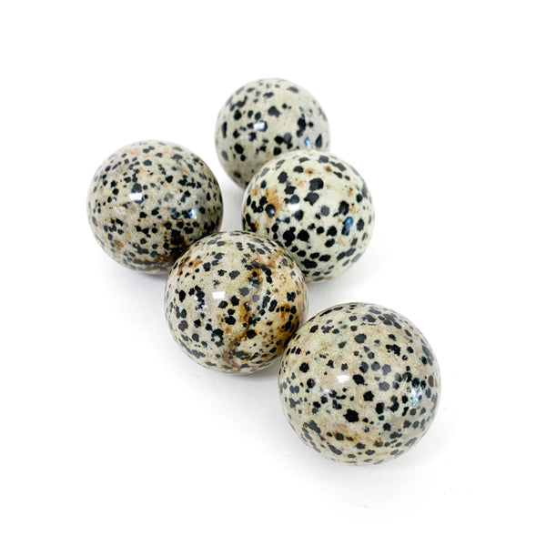 Dalmatian Jasper Balls 1" Diameter