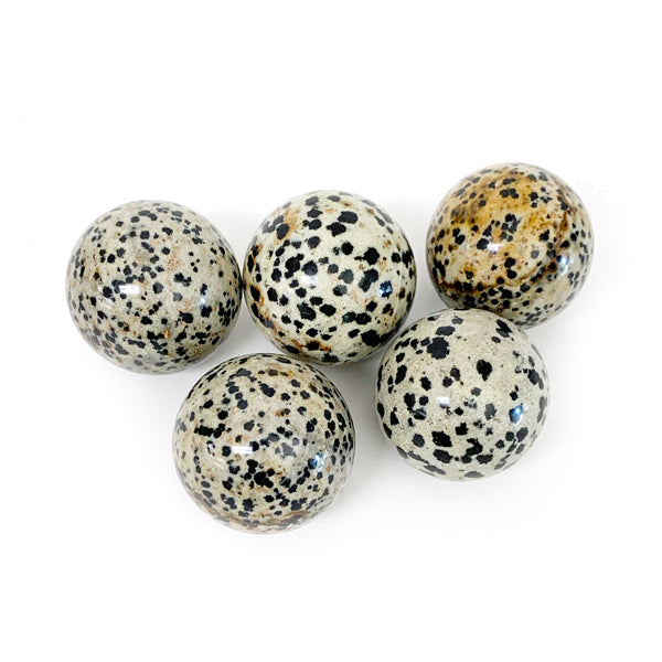 Dalmatian Jasper Balls 1" Diameter