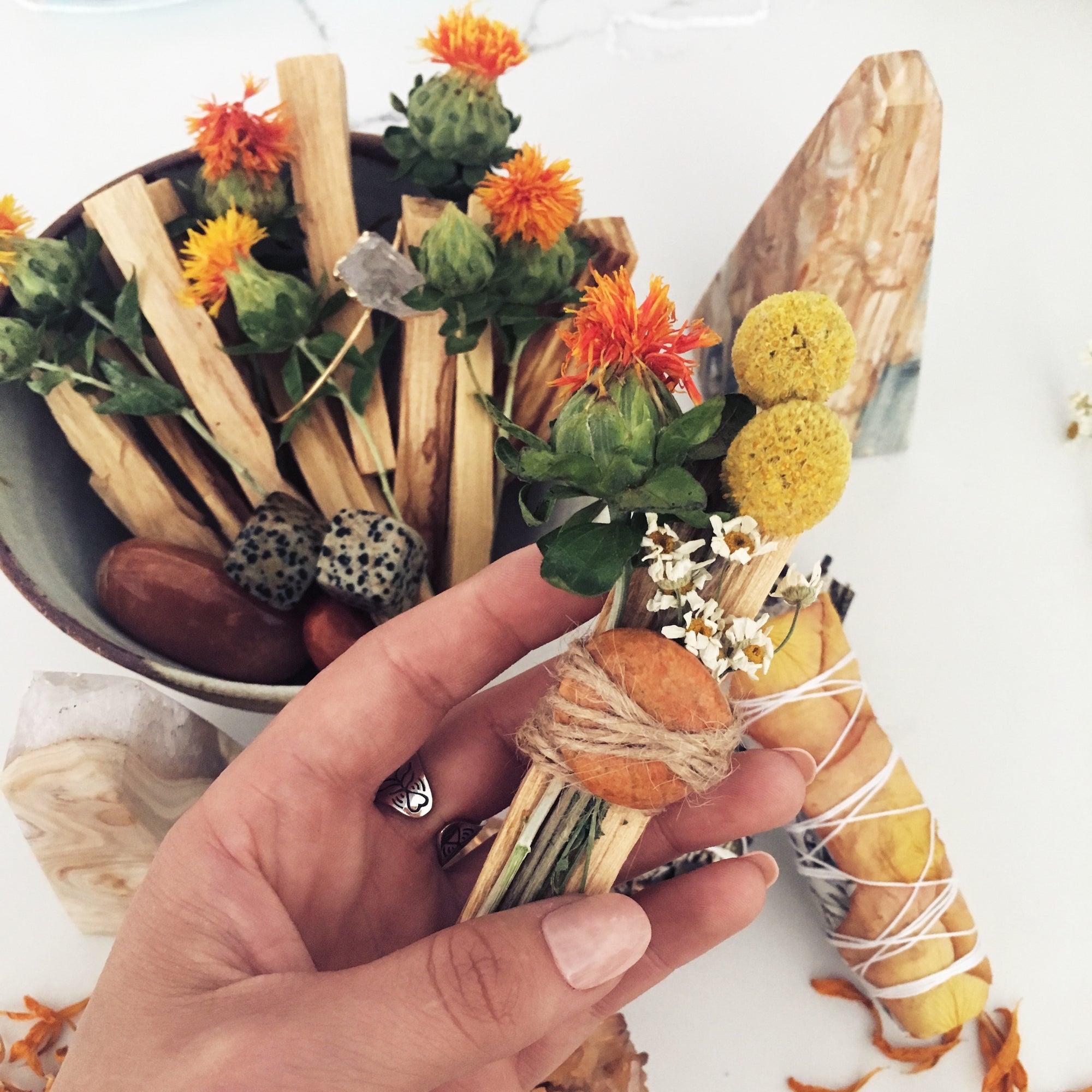 PhotoAug28_105548AM_2000x.jpg?