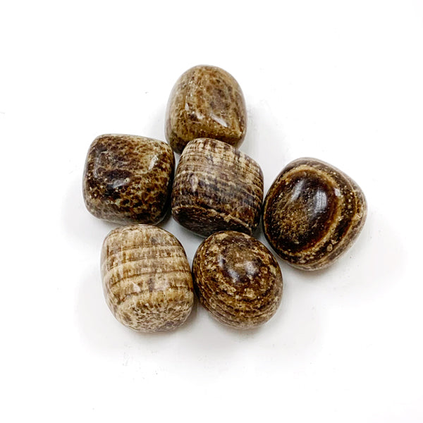 Agaronite Tumbled Crystals